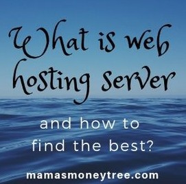 what is web hosting server