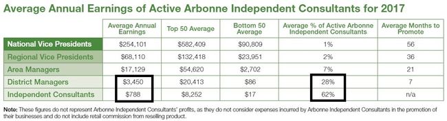 arbonne income statement