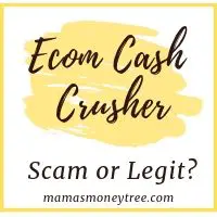 ecom cash crusher review