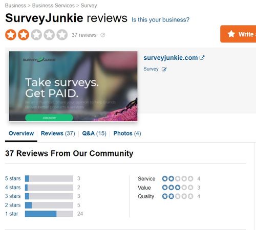 survey junkie negative reviews