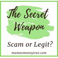 the secret weapon review