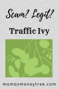 traffic ivy review