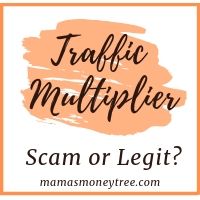 traffic multiplier review