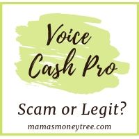voice cash pro review