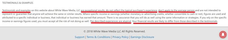 20 minute work day earnings disclosure