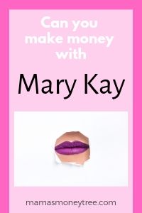 can i make money selling mary kay