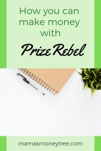 PrizeRebel Review