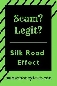 Silk Road Effect Review