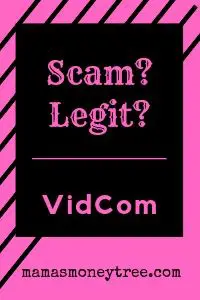 VidCom Review