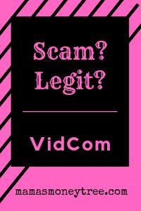 VidCom Review