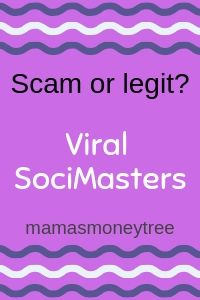 Viral SociMasters Review