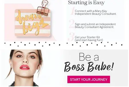 mary kay business