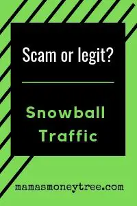 snowball traffic review