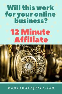 12 Minute Affiliate Review