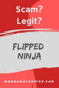 Flipped Ninja Review
