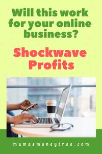 Shockwave Profits Review