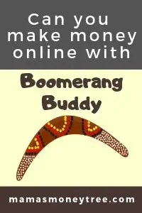 Boomerang Buddy Review