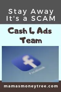 Cash 4 Ads Team Review