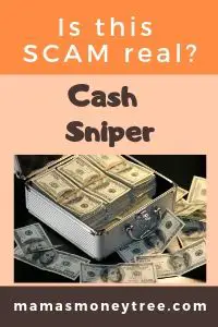 Cash Sniper review