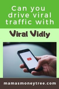 Viral Vidly Review