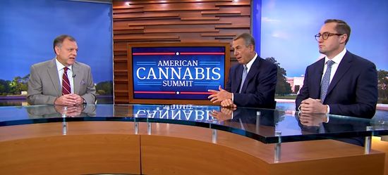 american cannabis summit video capture