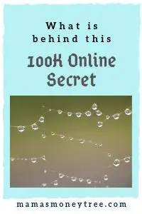 100K Online Secret Review