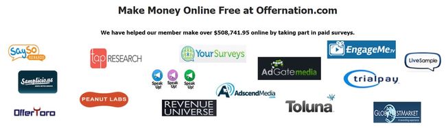 offernation survey partners