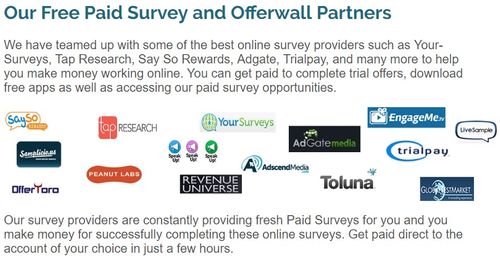 rewardingways survey providers