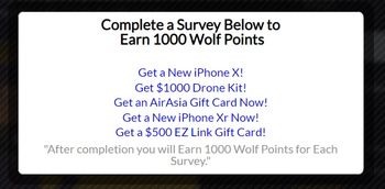 wolfpoints survey