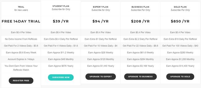 workmines pricing