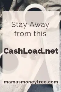 CashLoad Review