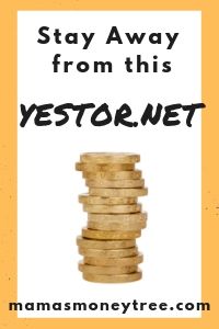 Yestor-Review