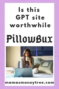 PillowBux Review