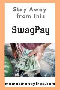 SwagPay-Review