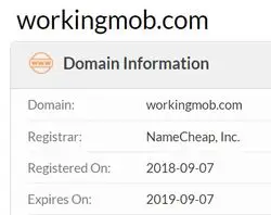 workingmob domain