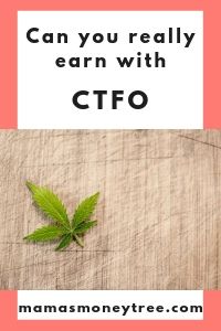 CTFO-Review