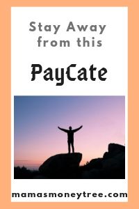 PayCate-Review