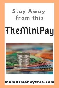 TheMiniPay-Review