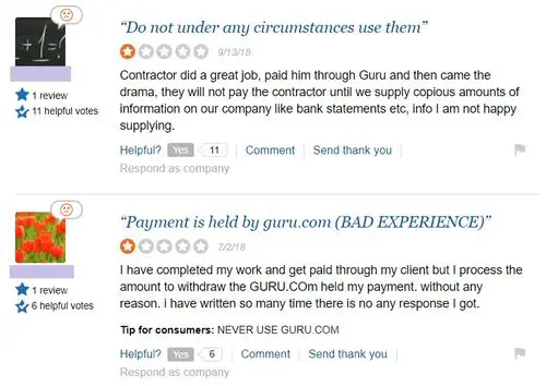 guru feedback 1