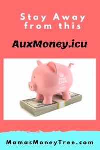 AuxMoney-Review