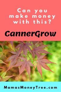 CannerGrow Review