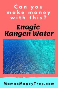 Enagic Kangen Water Review