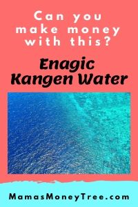 Enagic-Kangen-Water-Review