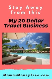 My-20-Dollar-Travel-Business-Review