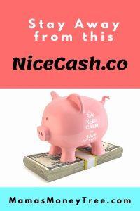 NiceCash-Review