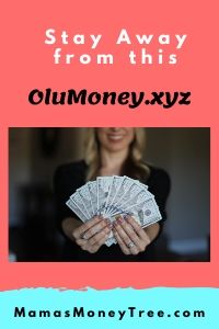 OluMoney Review