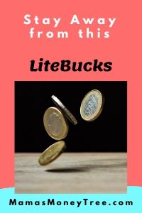 LiteBucks-Review