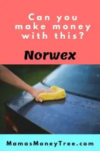 Norwex Review