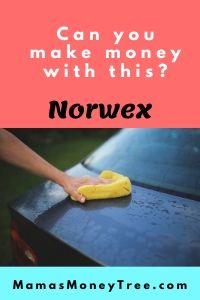 Norwex-Review