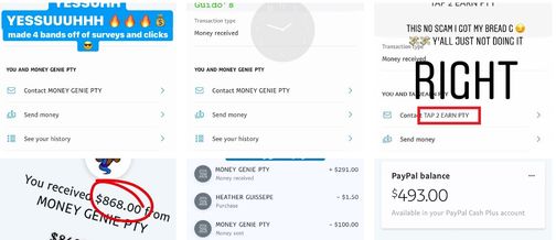 money genie fake payment